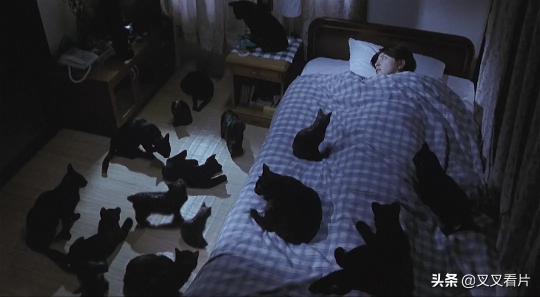 咒怨恐怖还是鬼影恐怖,咒怨鬼影