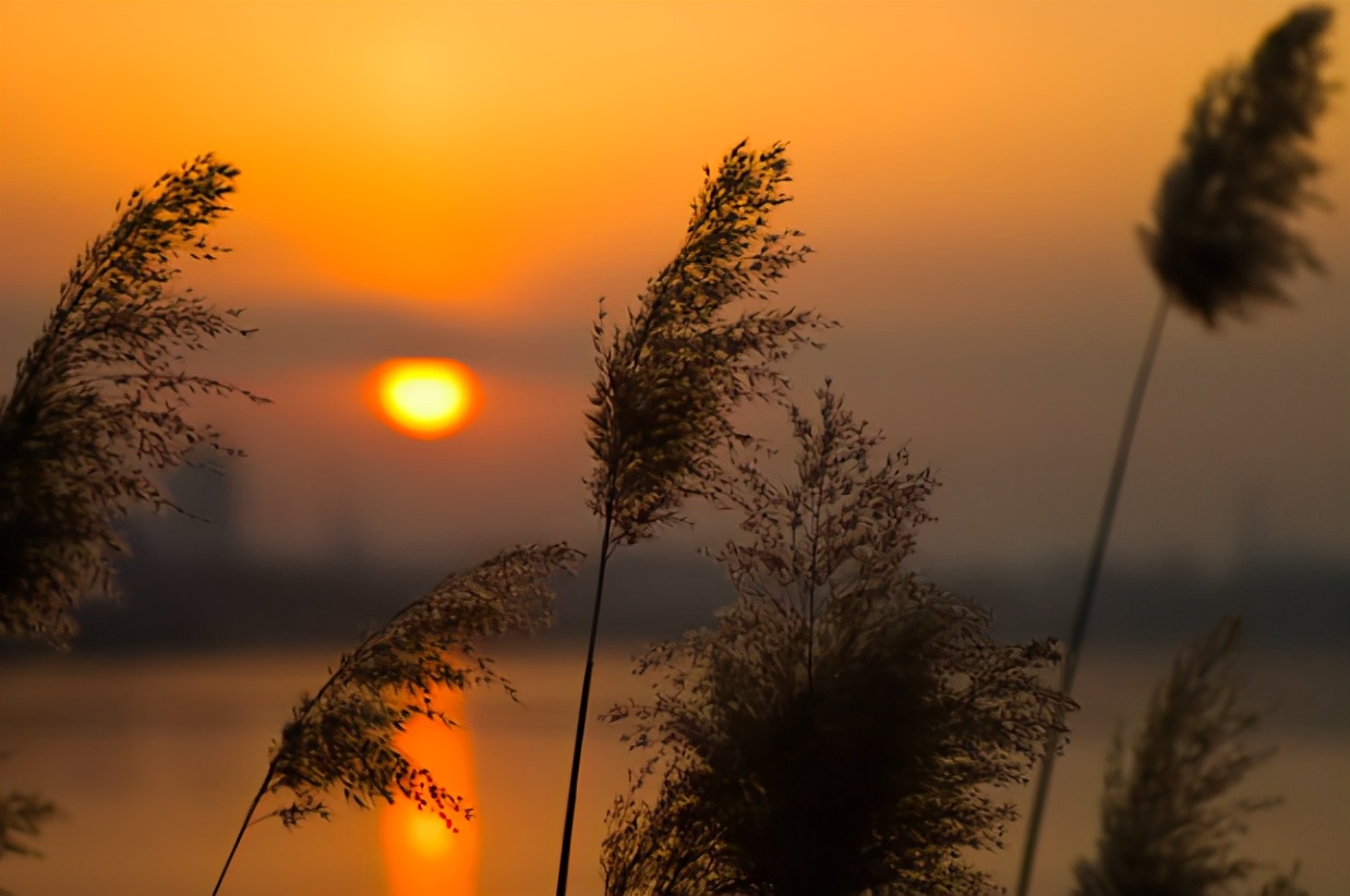 欧阳修的这首词,写透了人生的聚散无常,值得一读再读