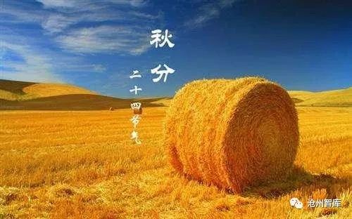 秋分节气是中国的农民丰收节,丰收节是秋分的节气吗