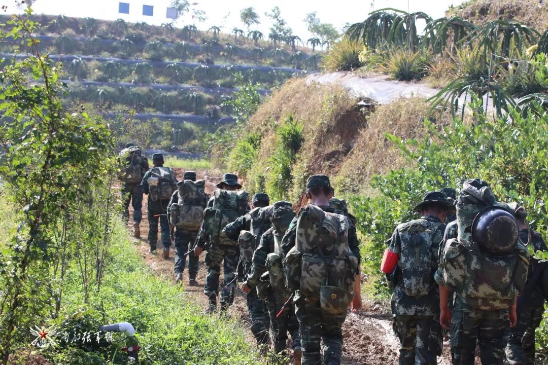 特战行动魔鬼周,特战训练魔鬼周