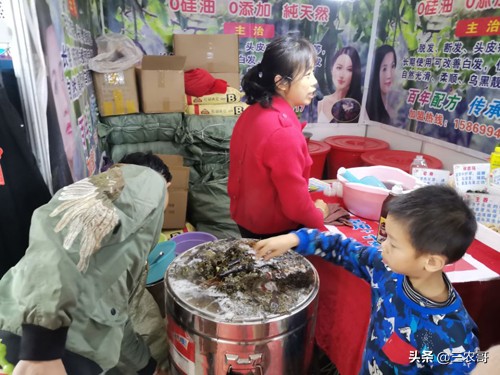 农村未来五大热门创业项目,30个农村小投资创业致富项目