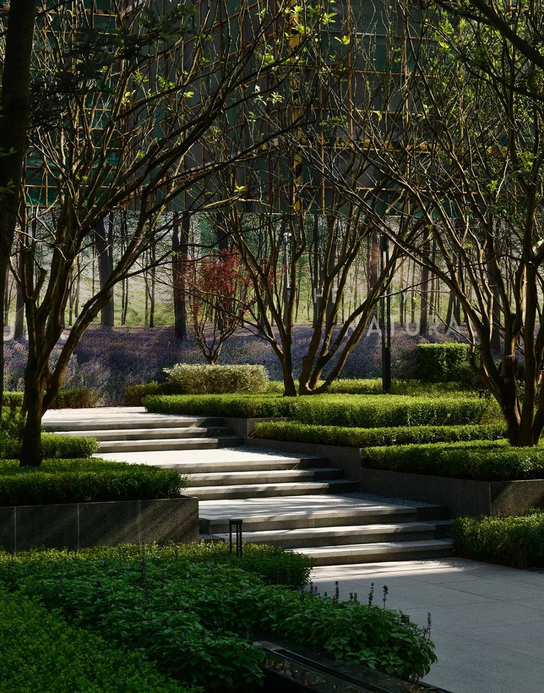 山林下的低密时光|重庆中南·玖著天宸/赛肯思景观