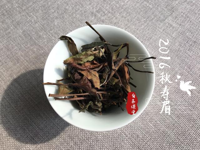 怎样才能煮出老白茶的香气,为什么老白茶会有一点红茶味