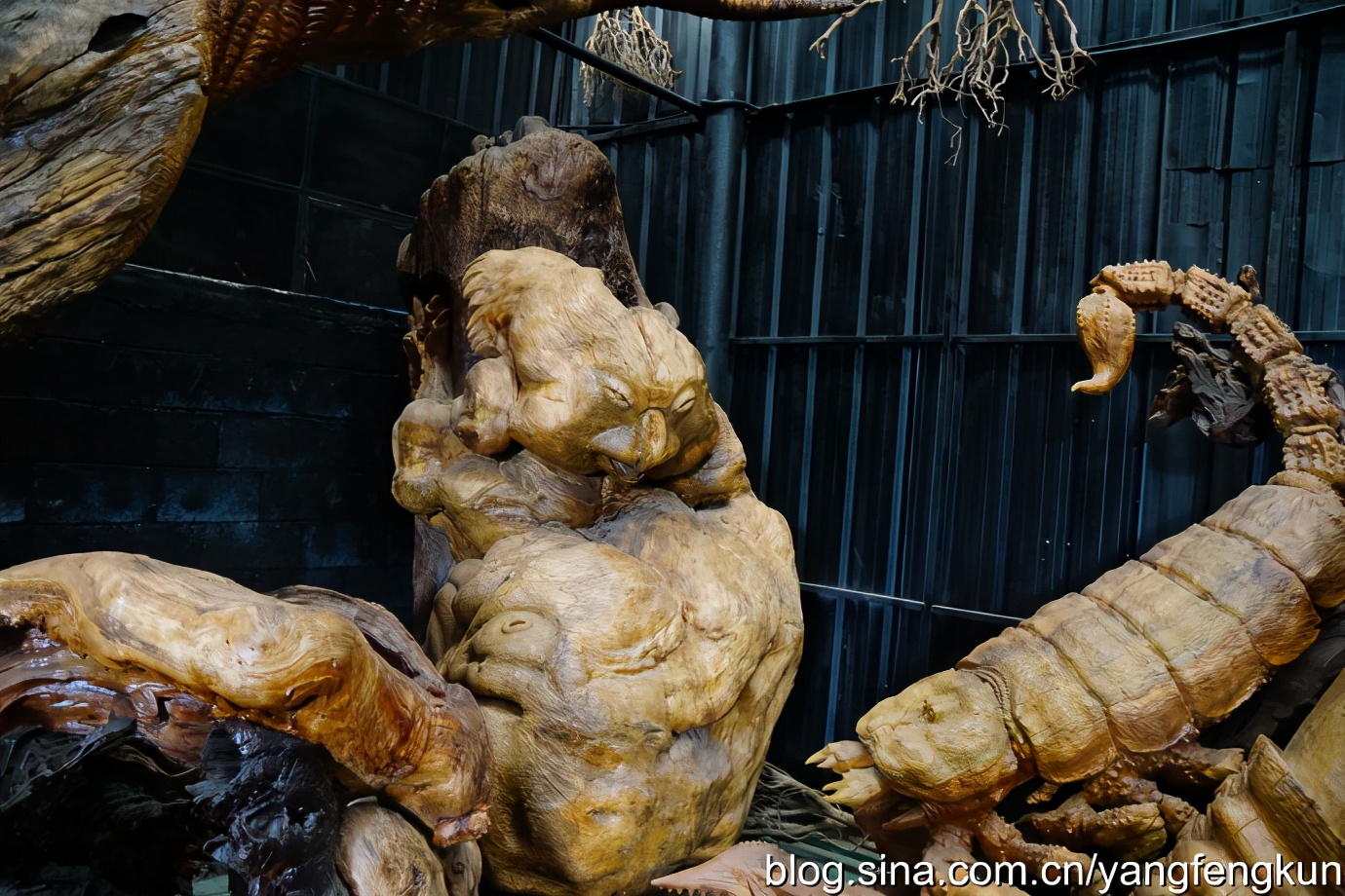 世界上最大的蜗牛介绍,全世界最大的蜗牛