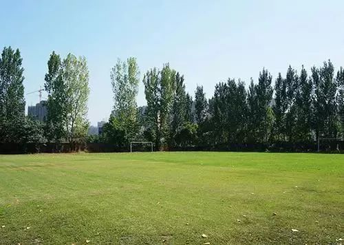 世警会赛程表,世警会比赛首日