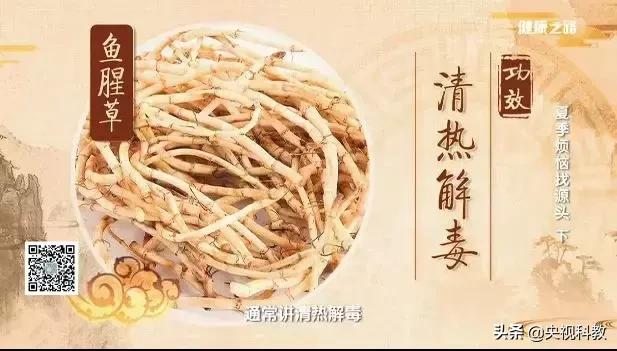 口舌生疮按哪个穴位图解,口舌生疮艾灸什么穴位最好