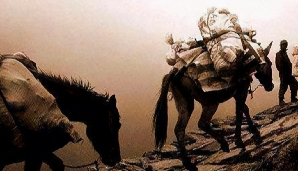 茶马贸易是什么,茶马交易的目的是什么