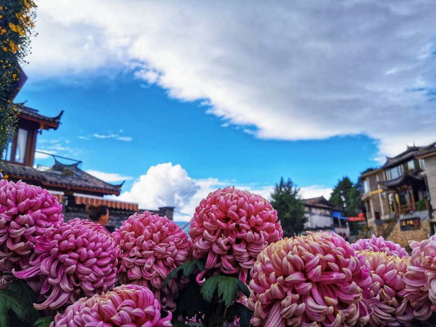 最美的季节遇见最美的你 (最美的季节遇见最美的你散文)