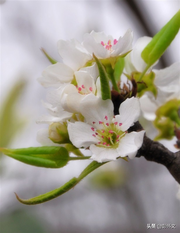 财税问答视频全集,财税问题最新解答大全