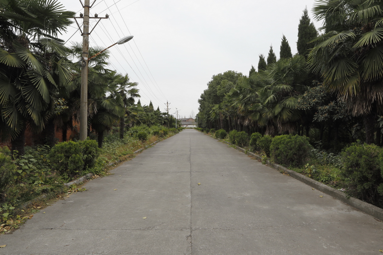 三线红山化工厂,湖北三线536厂