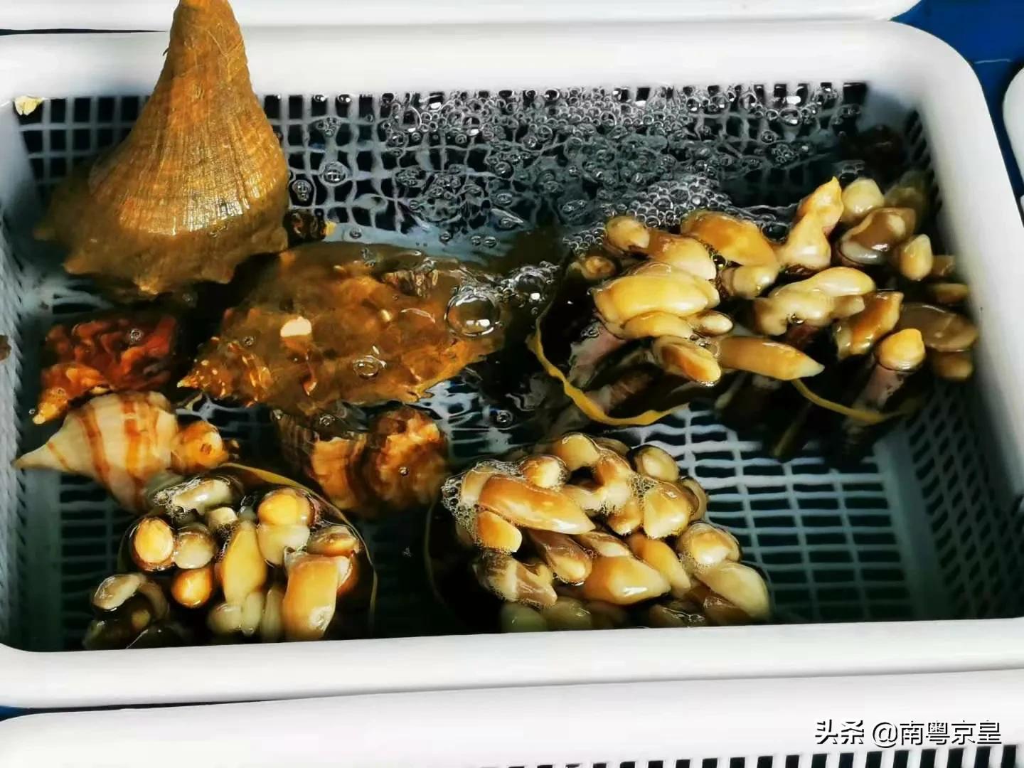 东澳岛海鲜旅游攻略,东澳岛最值得去的地方