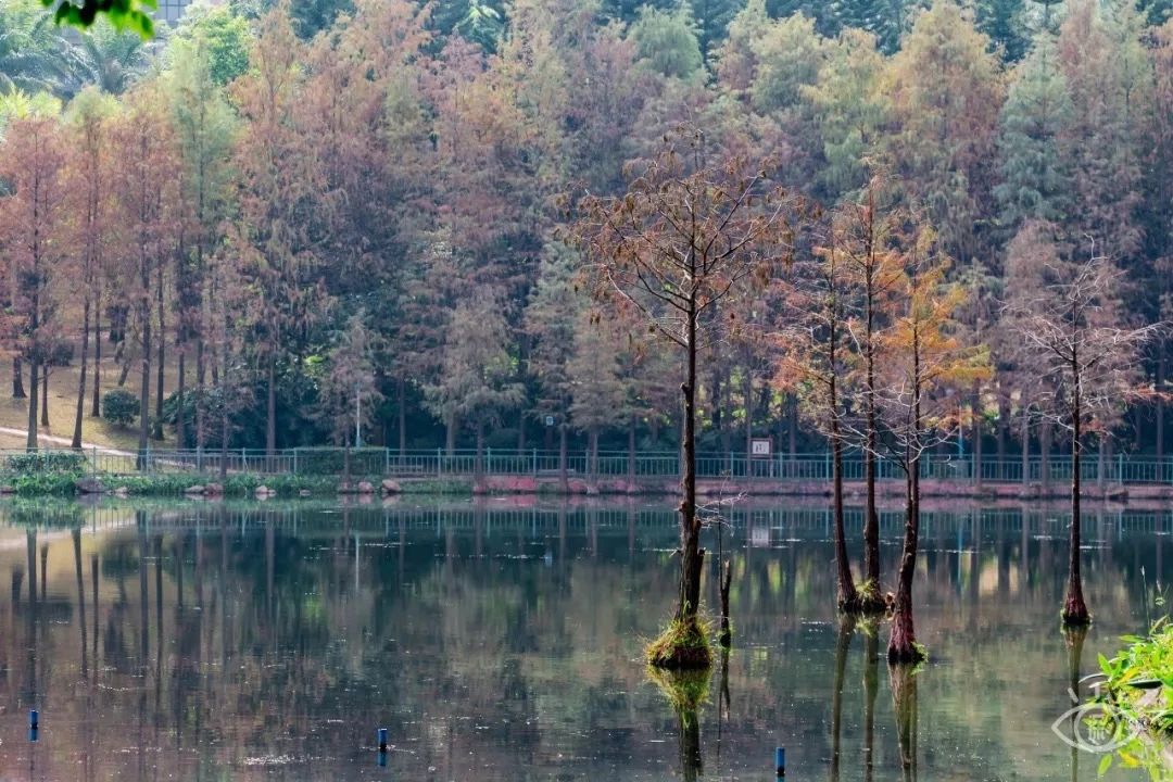 最美湖泊小众风景,最美湖泊西湖