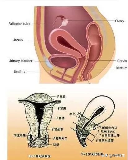 我的门诊故事原图,我的门诊故事患者