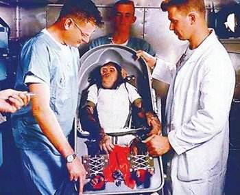 一只上过大学的猩猩试图成为人类，但现实给了它一记重锤