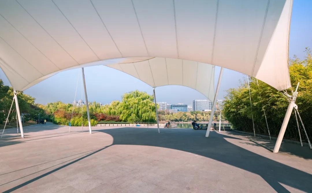 安徽省合肥市天鹅湖,安徽合肥的天鹅湖