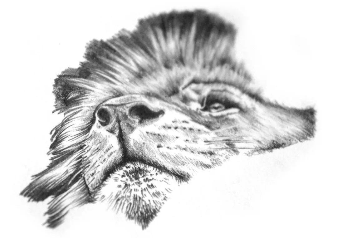 创意包装设计简约也是一种美,令人心动的10款包装设计