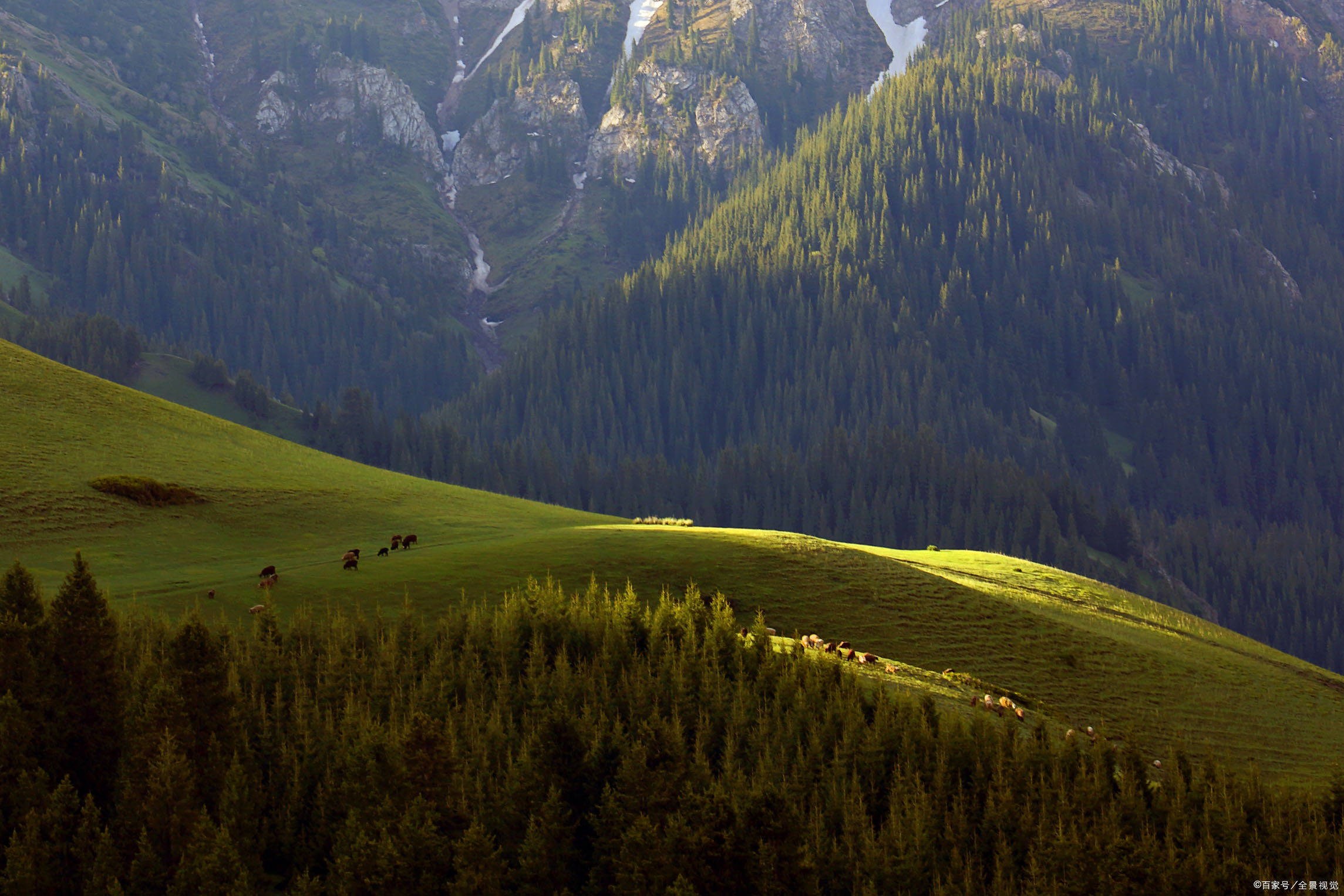 新疆伊犁果子沟风景素材,新疆伊犁果子沟美景