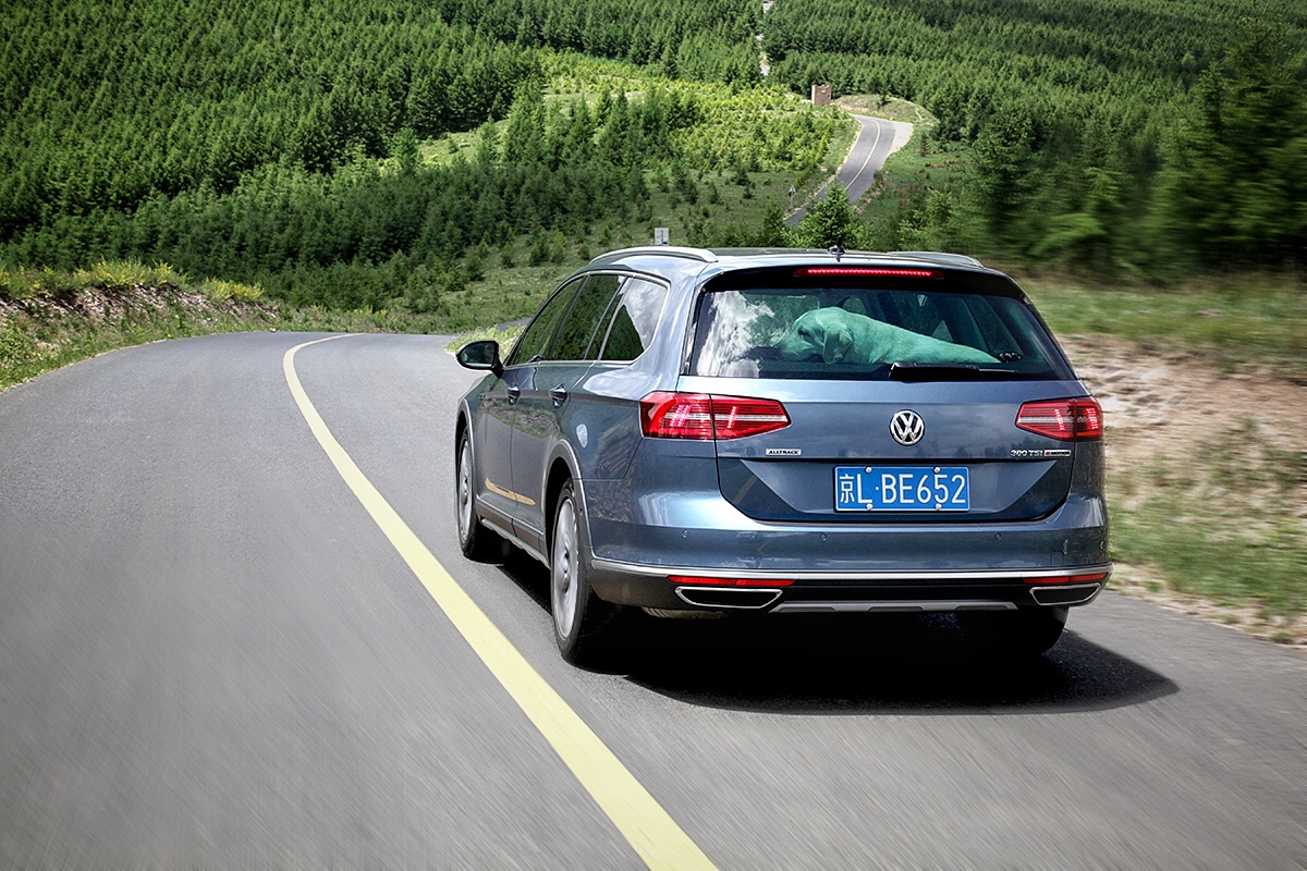 林林go视频,林林go自驾游