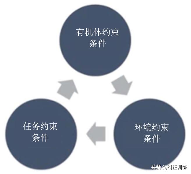 踝关节韧带撕裂足背屈受限,踝关节跖屈受限怎么办