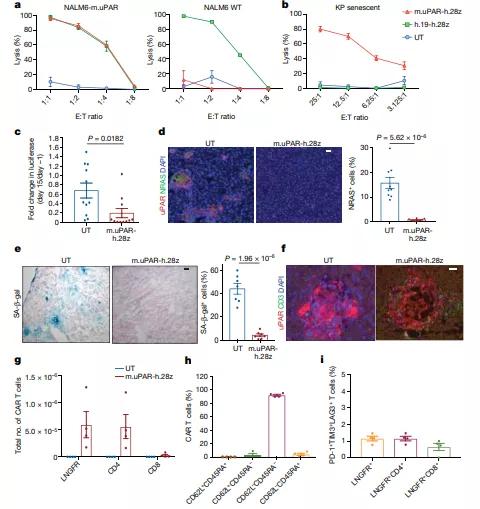 car-t细胞论文,自然论文
