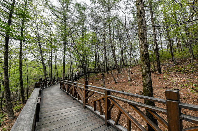 太行山之美巍峨壮丽,太行山最美的免费风景在哪里