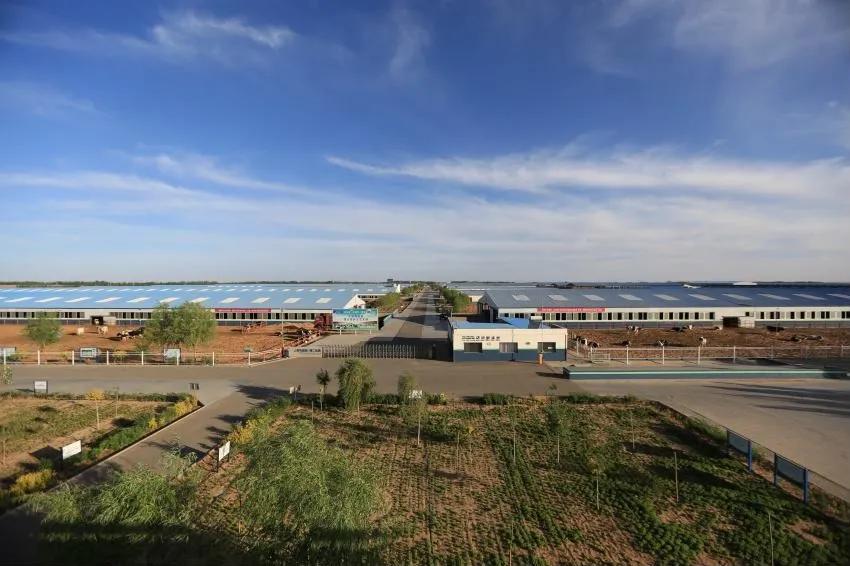 涓浗鍦g墽鍙戝睍瓒嬪娍濡備綍,鍦g墽甯傚満鍓嶆櫙濡備綍