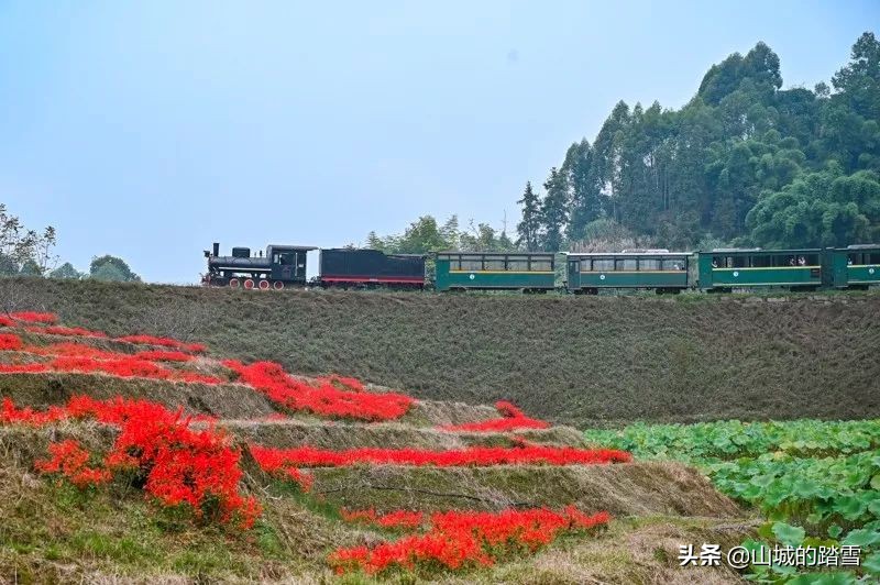 乐山嘉阳小火车值得去吗,嘉阳小火车与乐山大佛相隔多远