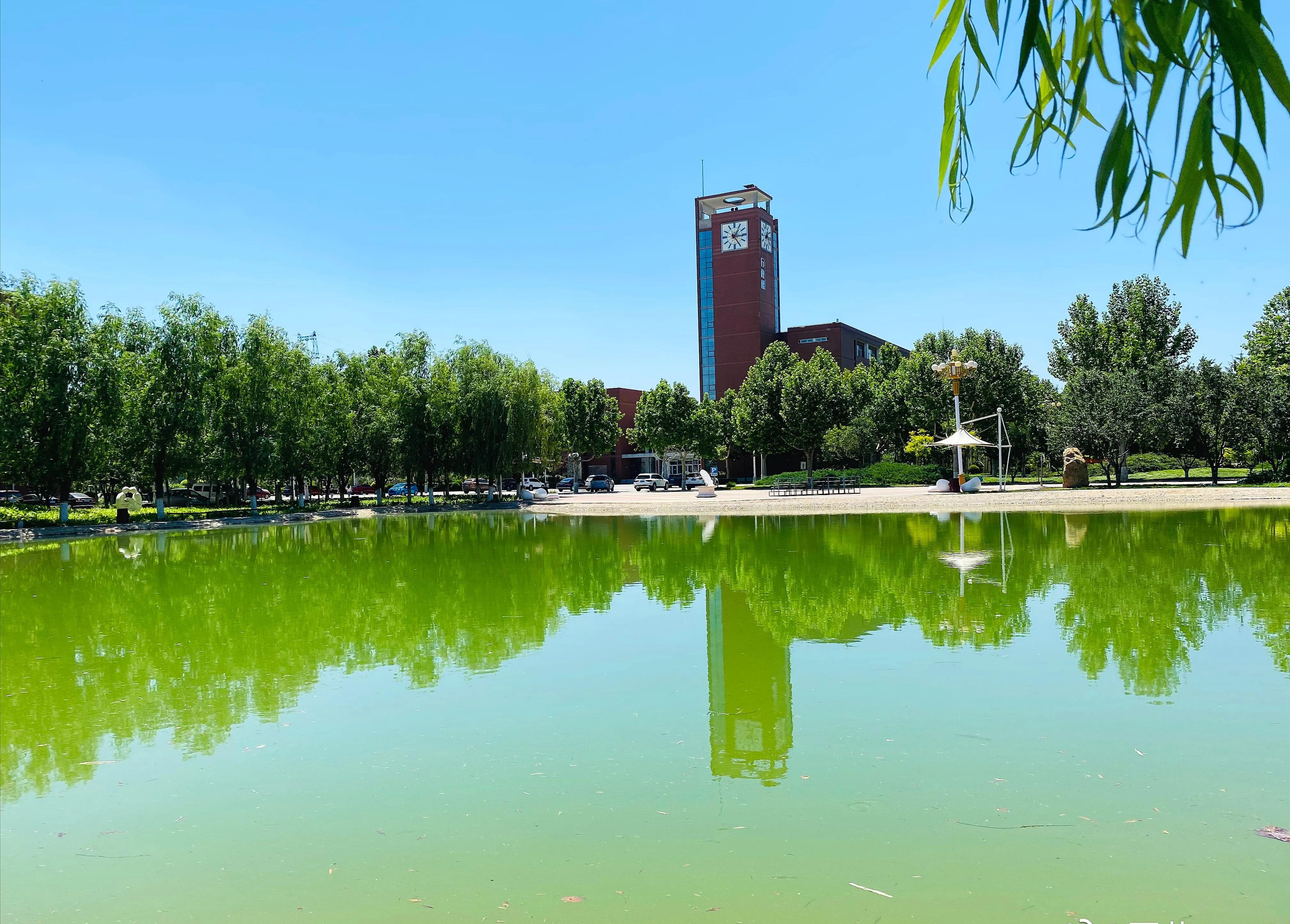 走近河北政法，欣赏夏日风光