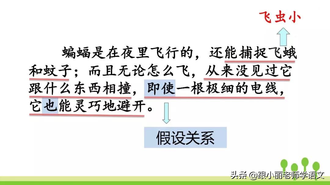 语文思维导图四年级上蝙蝠和雷达,人教版四年级上册蝙蝠和雷达朗读