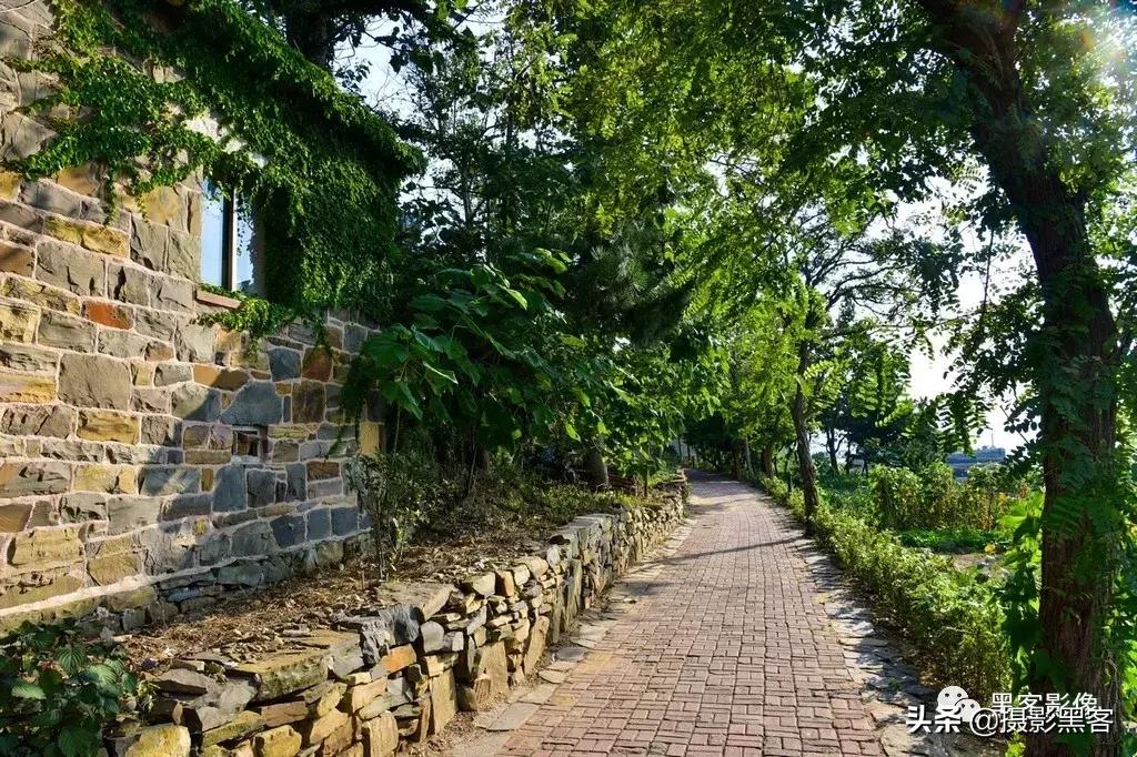 精致小青岛,秀美渔村入画来