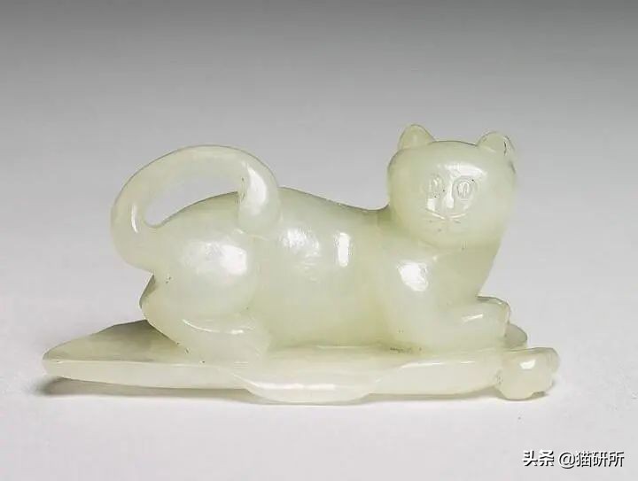 古代人如何称呼不同毛色的猫咪？