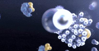 家里下水道堵塞发臭,别用开水冲!教你1个小技巧,再也不发愁