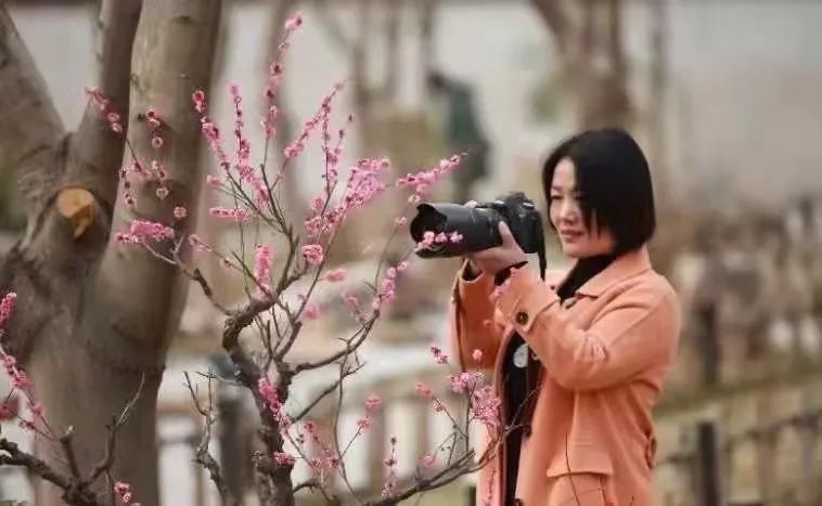 璁告槍鑰佷汉,娌冲崡璁告槍鏈変竴浣嶇櫧鍙戣媿鑻嶇殑鑰佷汉