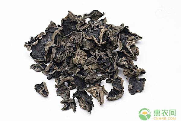 干木耳和干银耳保质期多长时间,干木耳行情