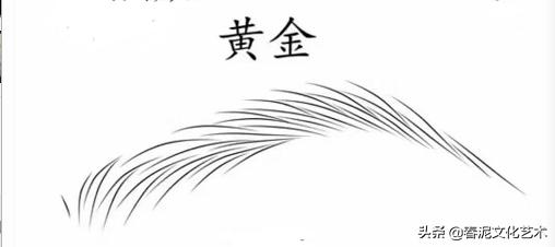 纹眉真人纸上练习画法图片步骤,不同眉形的纹眉