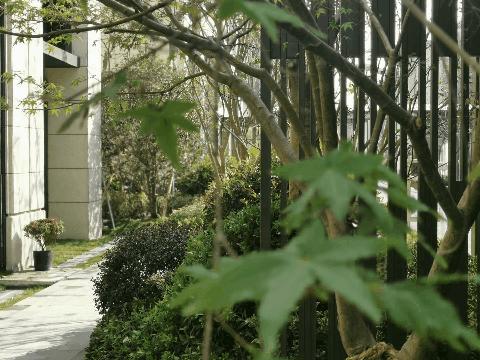 青剑湖新楼盘即将开盘,青剑湖新楼盘最新消息