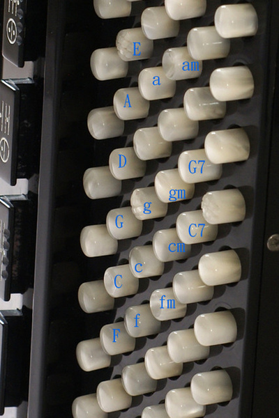 弹手风琴,学习手风琴初学者的基本知识