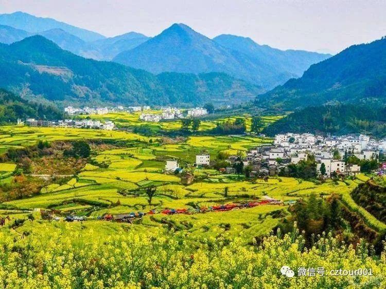 春天去哪里踏青省钱 (春季踏青美食攻略)