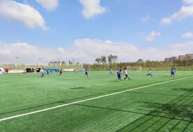 莲花县足球场在哪里,莲花足球场设计