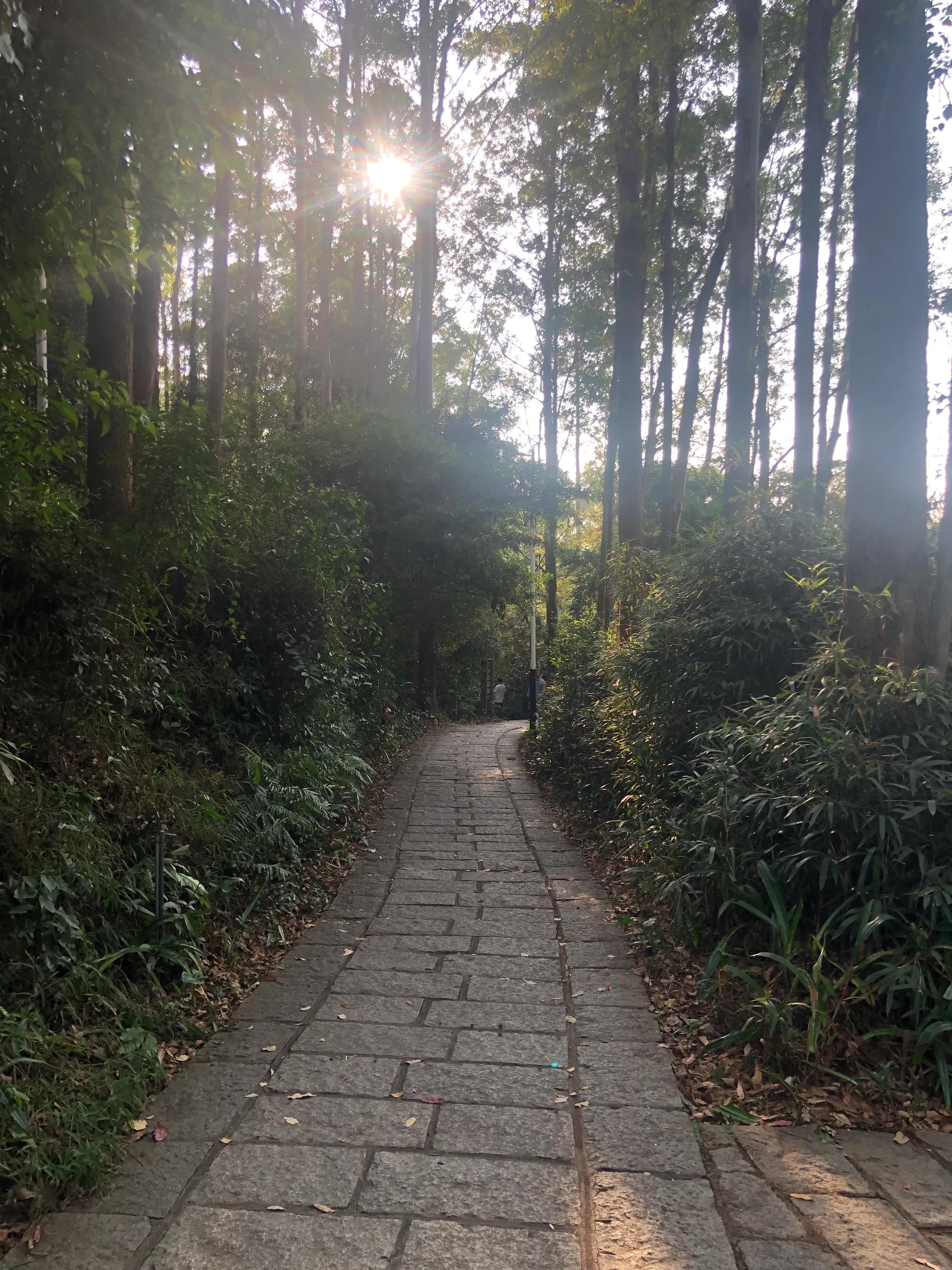 东莞水濂山森林公园攻略,东莞水濂山爬山要不要门票钱