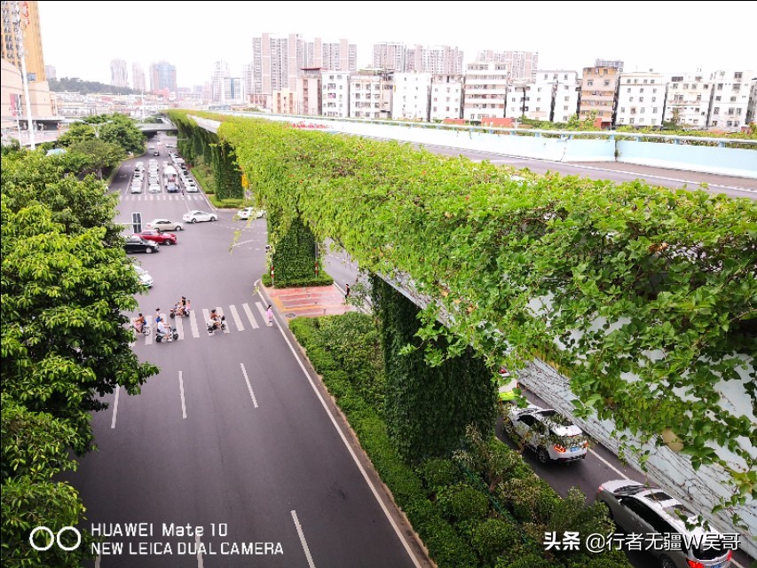 厦门快速公交brt快2视频,厦门快速公交brt目前开通哪些