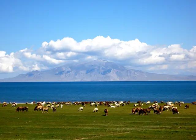 新疆摄影环线游之独库公路,独库游记