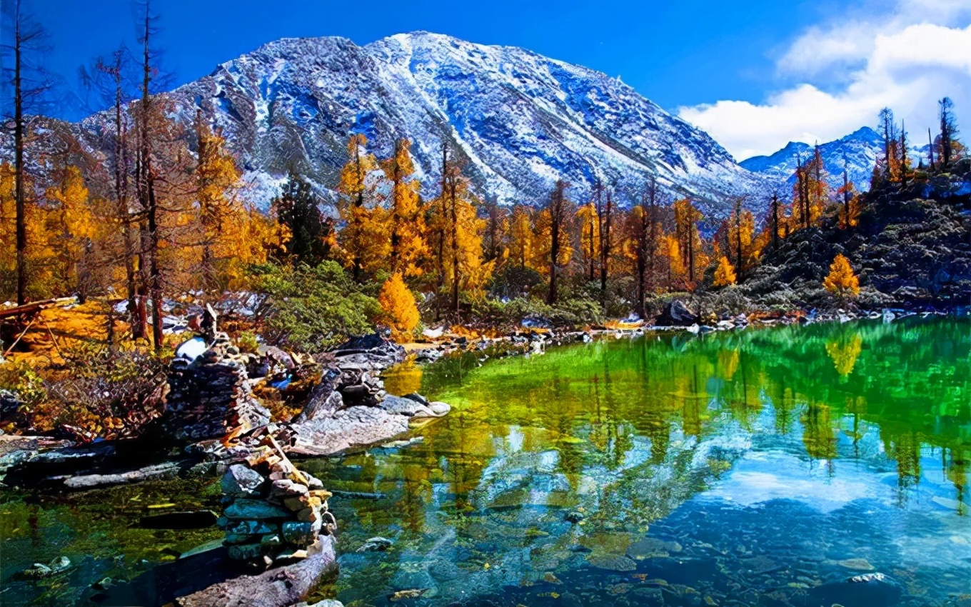 1011月错过它们，等于错过整个秋天！人少清净，随手一拍都是大片