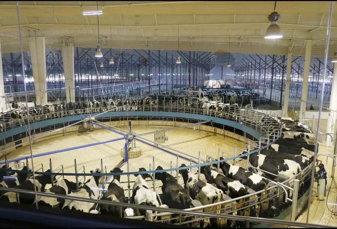 说说选择君乐宝奶粉的理由,君乐宝新国标最好的奶粉