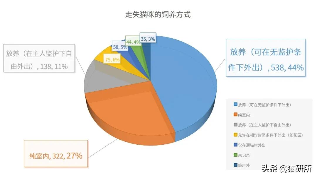 养猫怎么防止猫咪跑丢,猫咪走丢3招快速找回