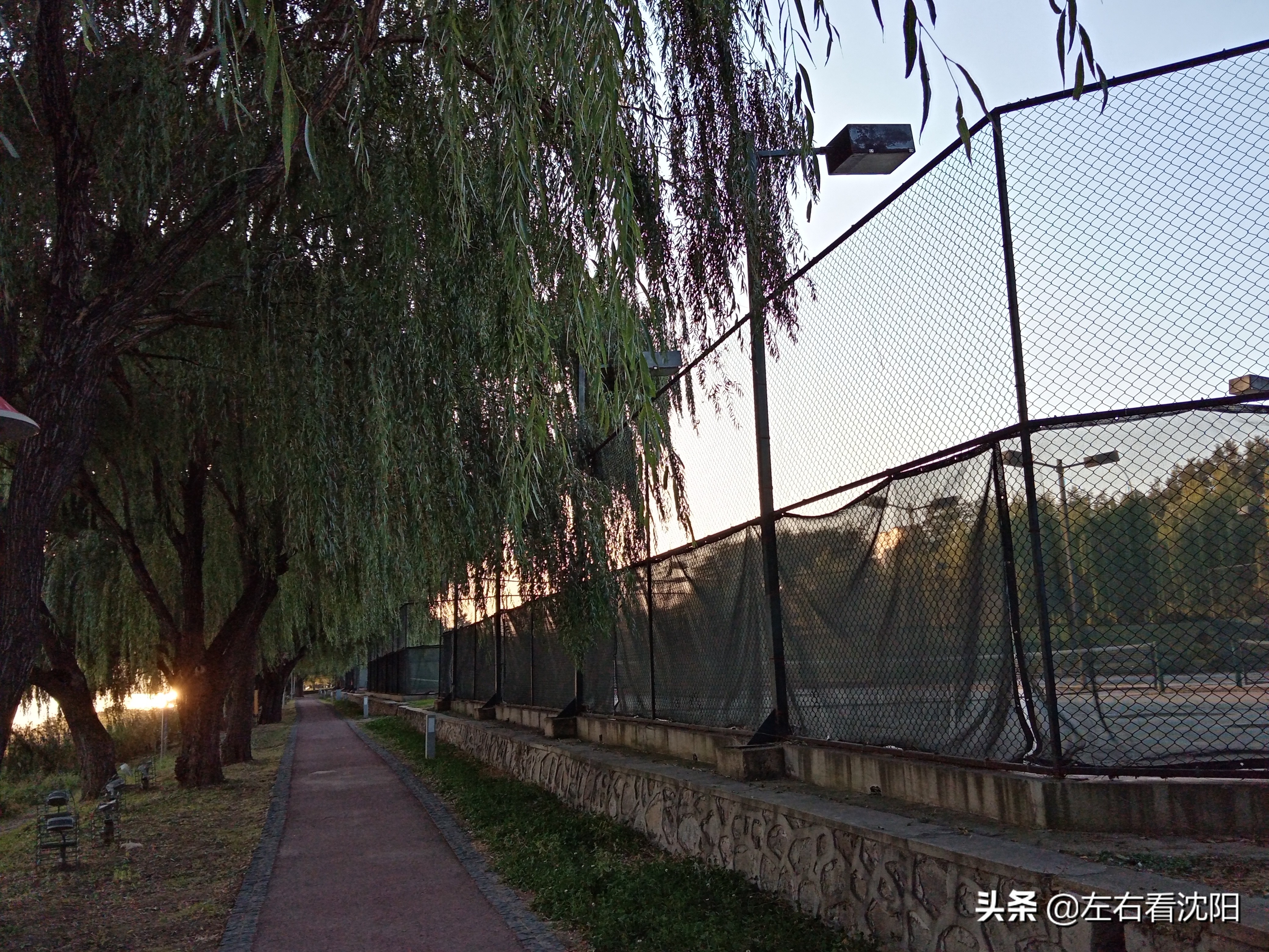 沈阳五里河公园攻略,沈阳五里河公园现在开吗