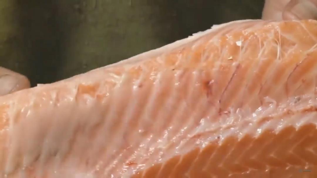 “最毒僵尸鱼”,外媒曝挪威三文鱼养殖乱象,看完胃不好了
