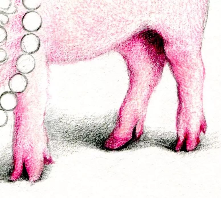 画一只简单又好看的猪,猪年的猪怎么画