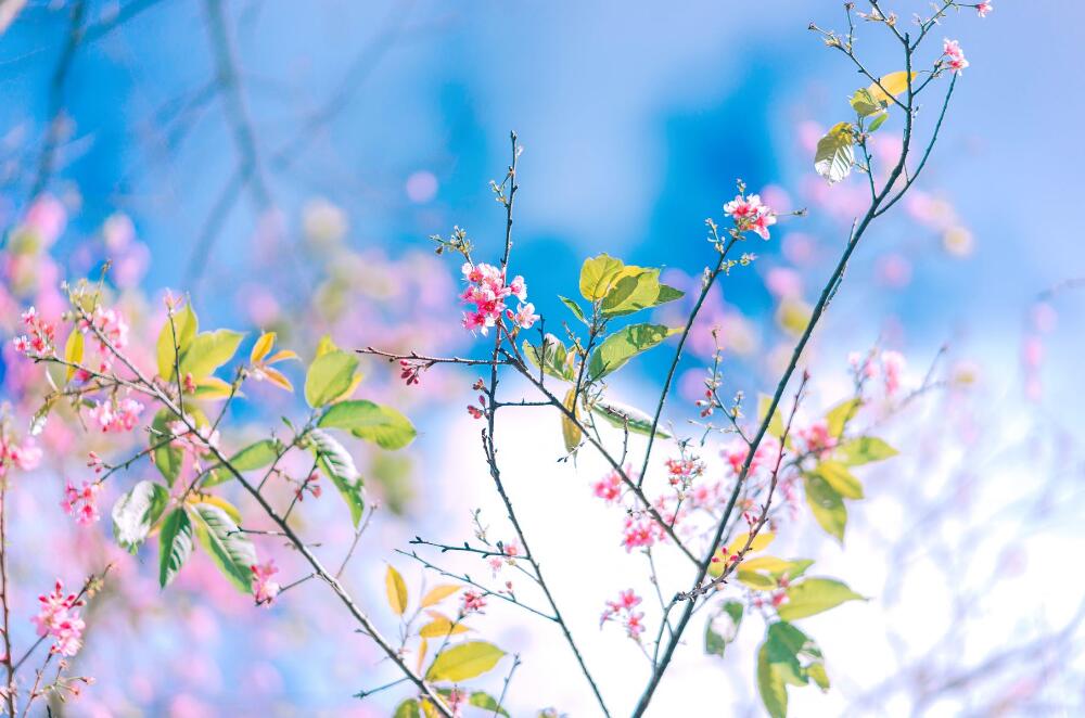 能力出众气质出色的星座值得拥有,学习能力最强的星座前5名排名