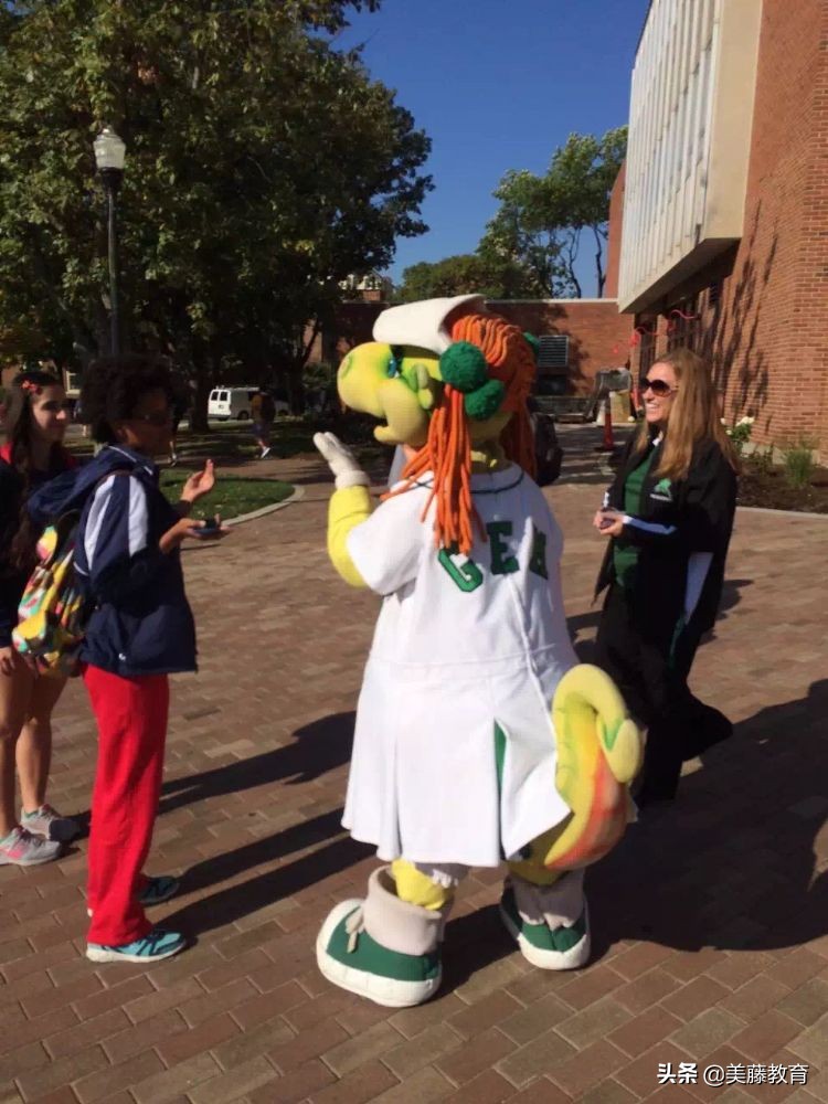 德克萨斯达拉斯分校,德克萨斯大学达拉斯分校简介